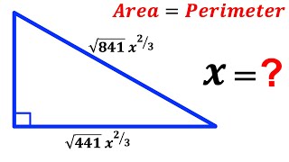 Can you solve for x? | Area=Perimeter |#math #maths #geometry