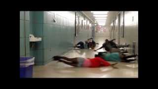 Harlem Shake - Hallway Surf - Dozo STYLE