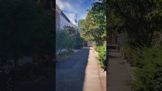 Court St New Haven