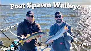 POST SPAWN Walleye Fishing on Green Bay | TROLLING for Green Bay Walleye in SPRING