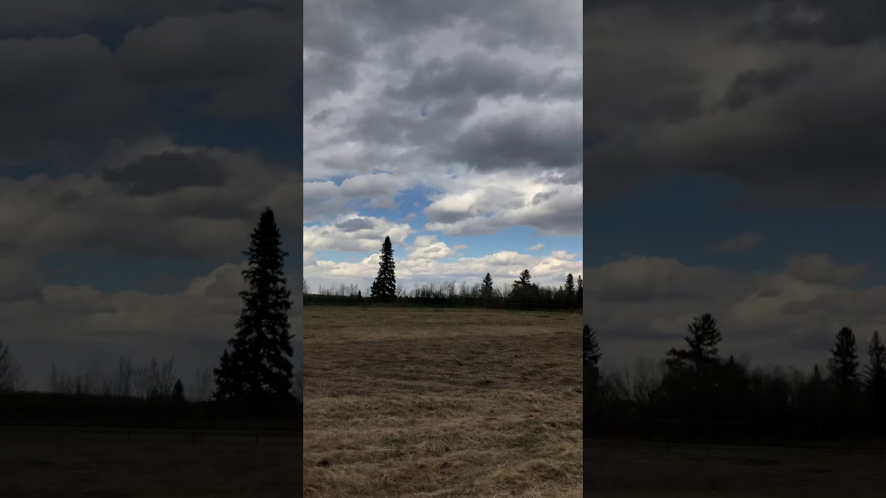 walking through the grassland of south glenmore park | Calgary, Alberta, Canada 🇨🇦