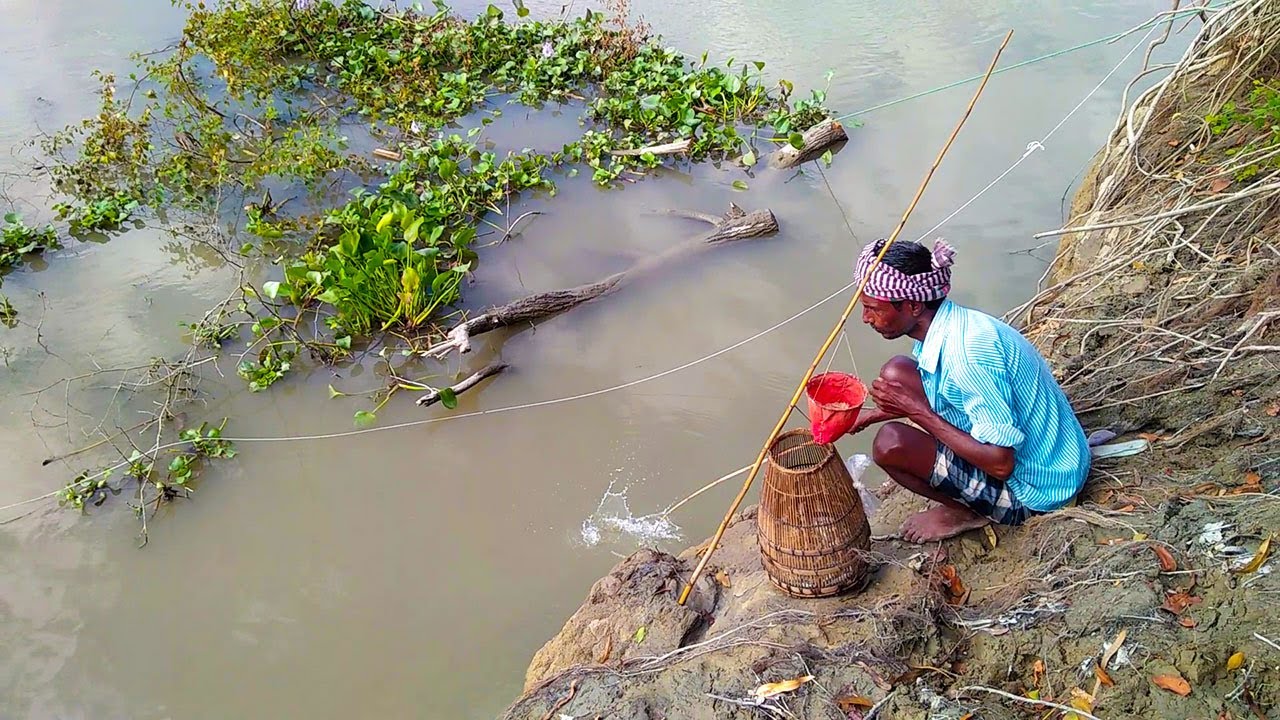Fish Catching Historic Banshi River with Ant Eggs in Picturesque Environment|| Hook Fishing(Part-14)