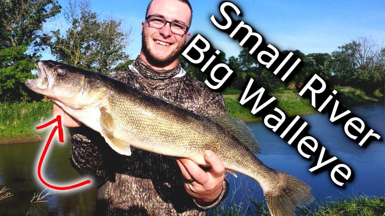 Walleye Fishing a Small River- Accidental TROPHY Walleye 