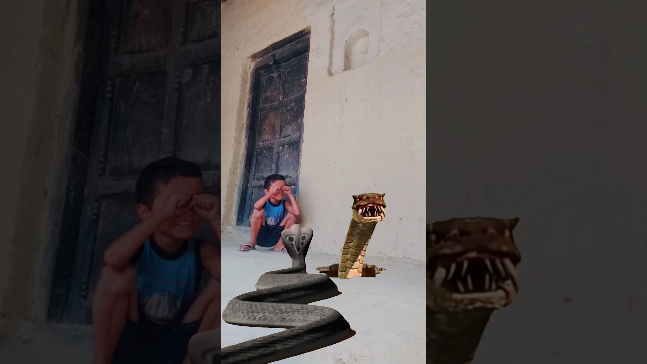 🐍Dangerous Snake Vfx Funny Video | 