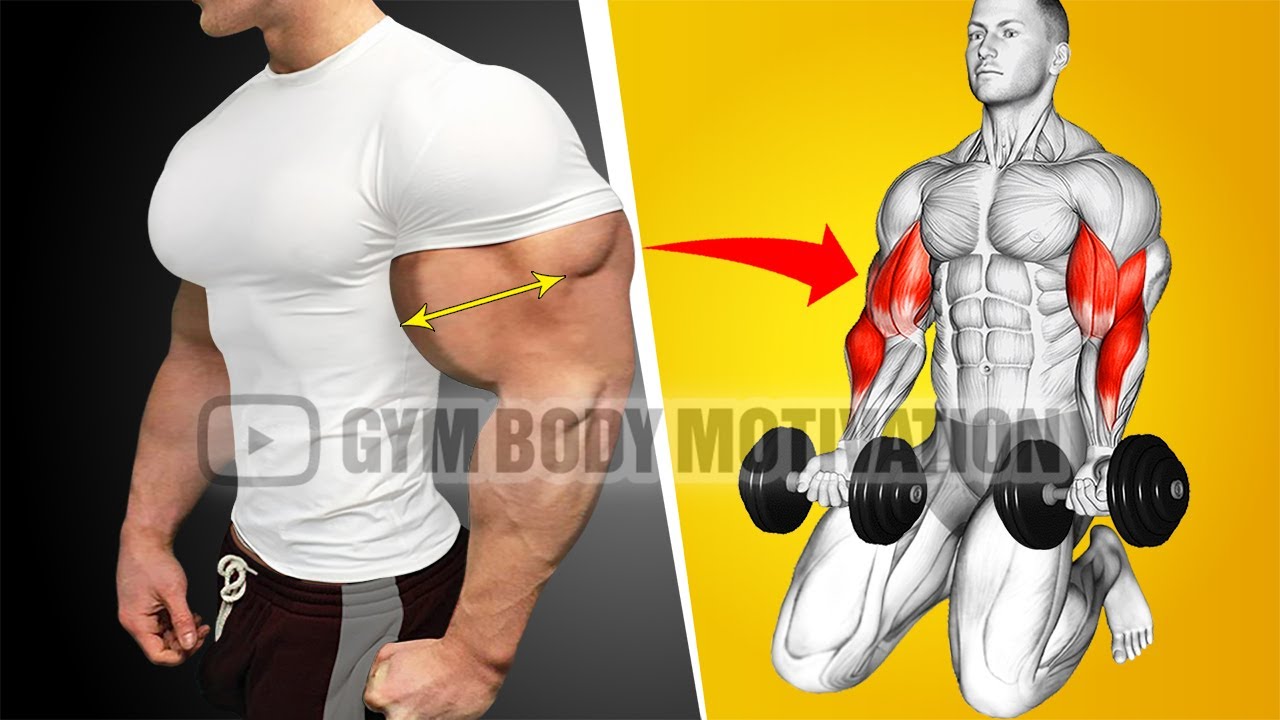 8 Best Biceps and Triceps Exercises for Bigger Arms Fast 