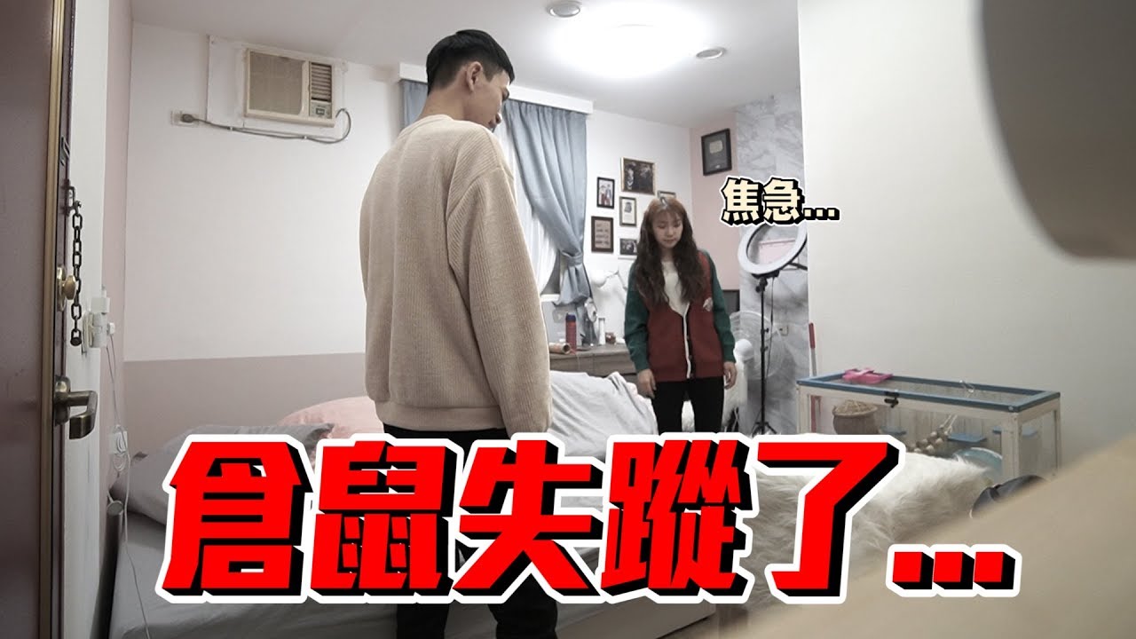 愛寵倉鼠失蹤了！女友焦急尋找竟發現…【眾量級CROWD｜PRANK互整情侶特輯】