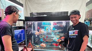 grebek kios ikan jumbo di pasar jatinegara 