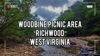 Woodbine Picnic Area on Cranberry River, Richwood, West Virginia, USA