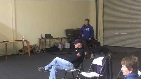 Michael Ellis: Restrained Recalls