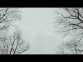 Tom Odell - Loving You Will Be The Death Of Me (Official Music Video)