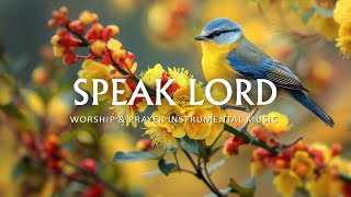 Speak Lord : Instrumental Worship, Meditation & Prayer Music with Nature | Christian Piano