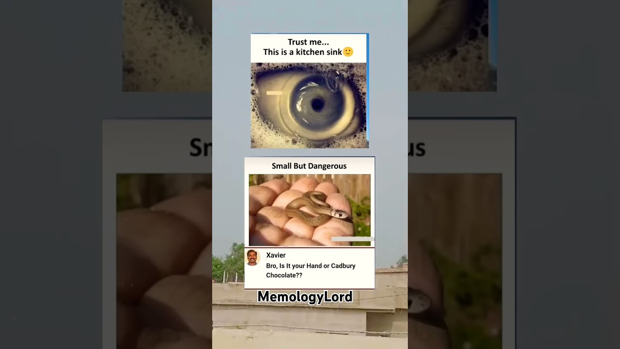 Meme:Small but dangerous 😂😅🤣