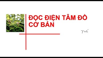 Các bước đọc điện tim căn bản