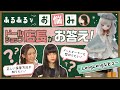 【ドール】ドールオーナーのお悩み解消コーナー【DOLK】