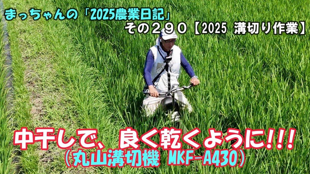 その290【2025 溝切り作業】中干しで、良く乾くように!!!（丸山溝切