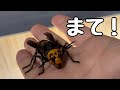 うそだろ...もり子が漏らした...