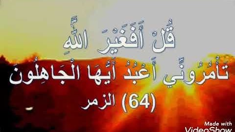 (قُلْ أَفَغَيْرَ اللَّهِ تَأْمُرُونِّي أَعْبُدُ أَيُّهَا الْجَاهِلُونَ) القارئ إسلام صبحي