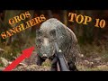 TOP 10 : GROS SANGLIERS 2020 BEST OF !!!