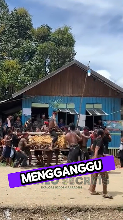 Ritual Pemakaman Suku Dayak #shorts #dayak