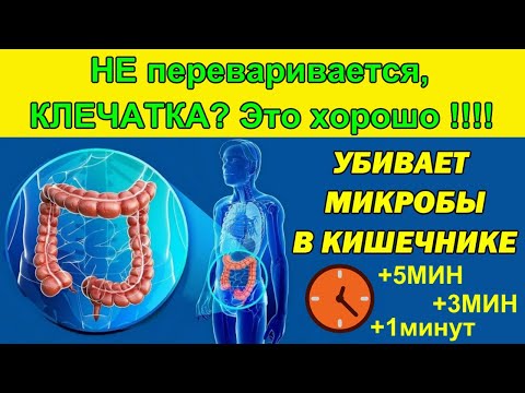 НЕ переваривается КЛИЧАТКА в ЖЕЛУДКЕ ? НЕ БЕДА, за то ПОЛЕЗНО !