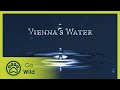 Vienna's Water - The Secrets of Nature