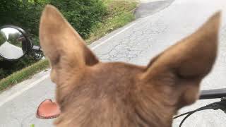 IMG 5209