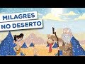 MILAGRES NO DESERTO | Peregrinação de Israel