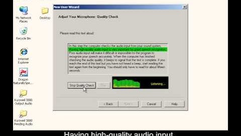 Dragon Naturally Speaking: Training