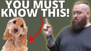 3 THINGS TO KNOW BEFORE GETTING A COCKER SPANIEL by Will Atherton Spaniel Show 159,162 views 1 year ago 4 minutes, 27 seconds