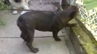 video 0 02 01 2a5f4d20e32f71b354d82700709839c991c191088a2423d625573f06bd14511a V