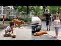 Smart Dog Saves People😍🐶  Dogs are Friends, Not Animals  #12