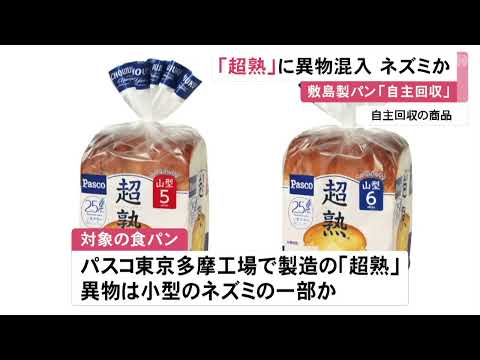 食パンに“ネズミの一部”か…敷島製パン『超熟』に異物が混入 東京の工場で製造した約10万4千個自主回収
