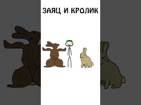 А вы знаете как различить кролика и зайца?  #академияброкколи #shorts #анимация #шортс #животные