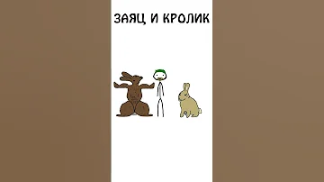 А вы знаете как различить кролика и зайца?  #академияброкколи #shorts #анимация #шортс #животные