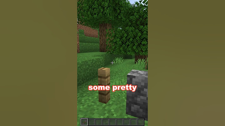 Minecraft Debug Stick