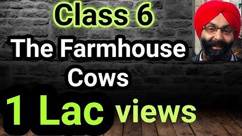 6th class, The Farmhouse Cows, updated full lesson, solved exercise and homework, Best Quality Video