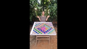 Ball Sort Puzzle ☆ Level 295 | High-Speed Puzzle Competition – Color Ball