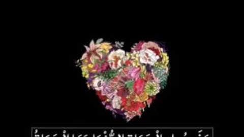 القرآن الكريم || ما تيسر من سورة الرعد