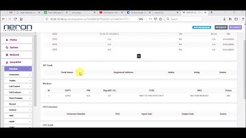 call in/call out from GSM Trunk in Neron 20/21