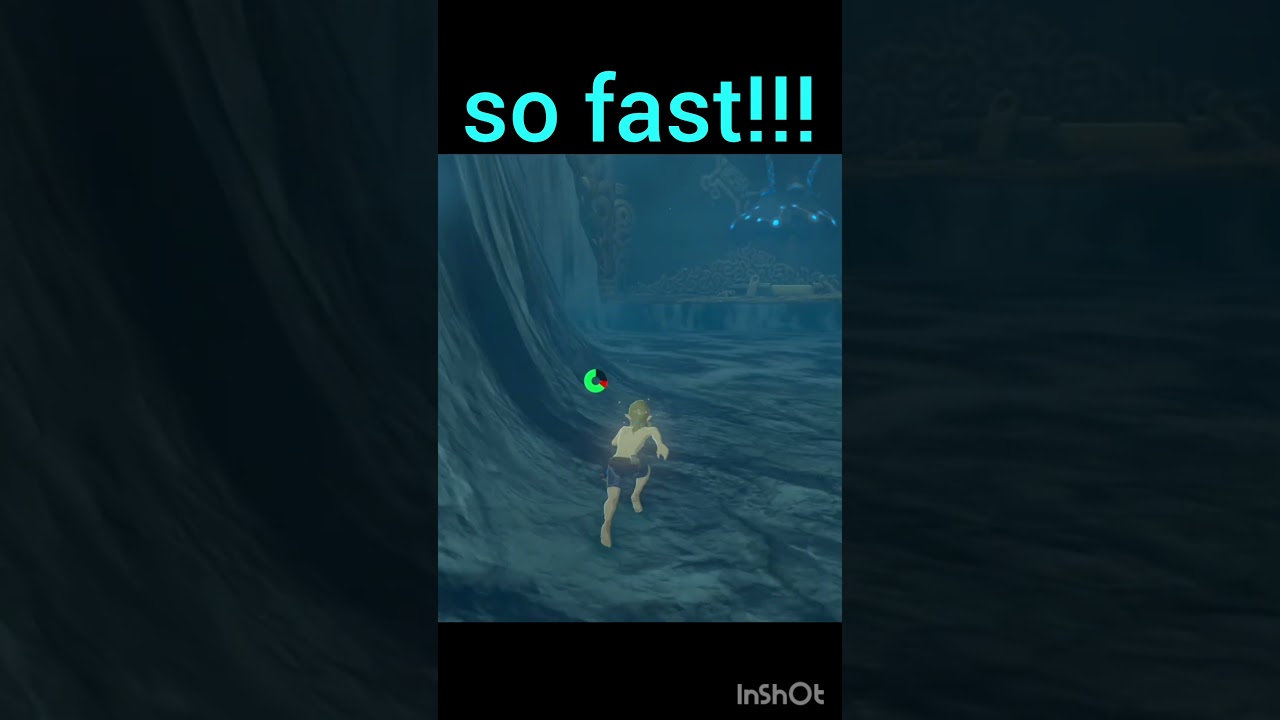 so fast!!!      #zelda #botw #speedrun #glitchmoments