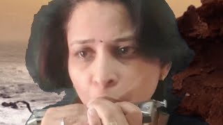 Ae Dil Hai Mushkil Jeena Yahan On Mouthorganharmonica By Rashmi Subhedar