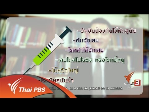 วีดีโอ: การฉีดวัคซีนสุนัข: สุนัขและลูกสุนัขต้องการวัคซีนชนิดใด?