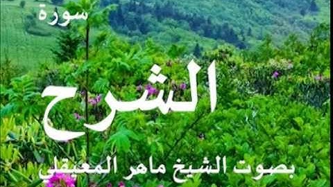 سورة الشرح بصوت الشيخ / ماهر المعيقلي 94