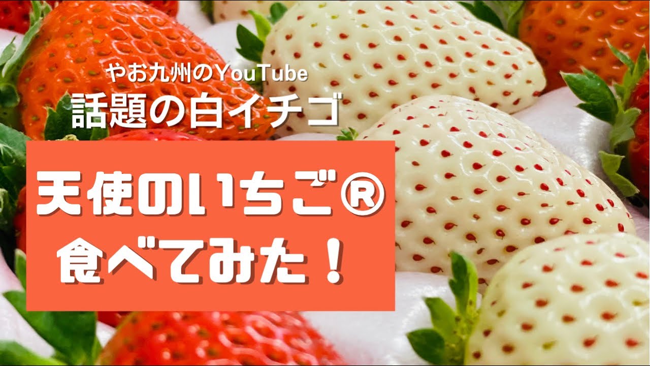 やお九州チャンネル やおチャン 話題の白イチゴ 天使のいちご を食べてみた 注目されるレアいちごの感想 Youtube