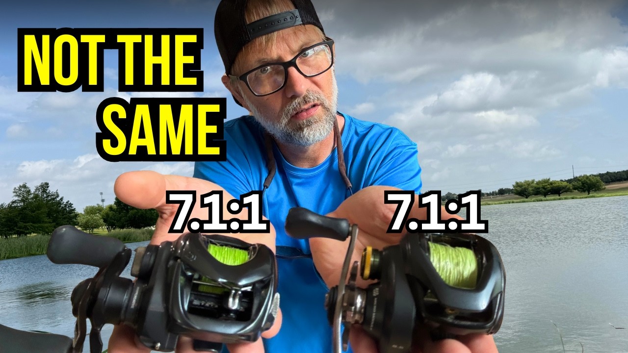 bass rapala lure BEST RAPALA BAITS FOR BEGINNER ANGLERS