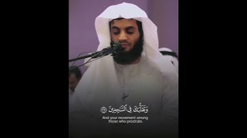 تلاوة هادئة بصوت القارئ رعد الكردي 🥺🤍          #قرآن #رعد_الكردي