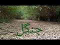 The area i belong  mera ilaqa  shahzaib muneer vlogs