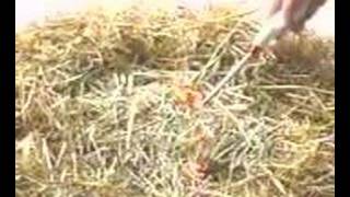 TG300 Dry Grass FR Test