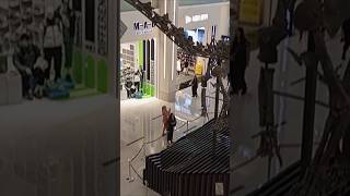 ✨ Dubai Mall 2025 – New Attractions & Hidden Gems! #dubaituluvlog #drawing #lifeisbutadream