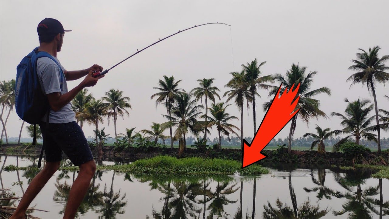 lucana predator baitcasting rod and reel reviewbaitcastingToman